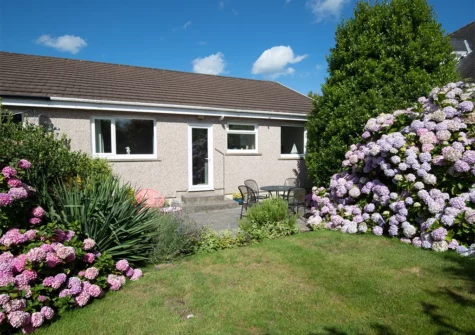 The garden at Ballyroan, East Williamston