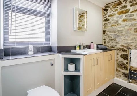 Shower room at Brewery Cottage, Saundersfoot