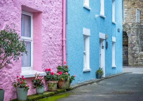 Outside Caleb's Cottage, Solva