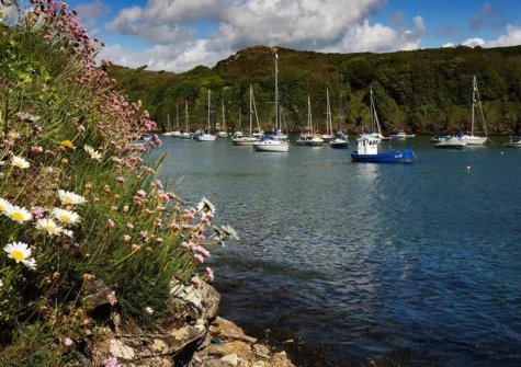 Solva Harbour is a delightful inlet where boats bob on the crystal clear waters
