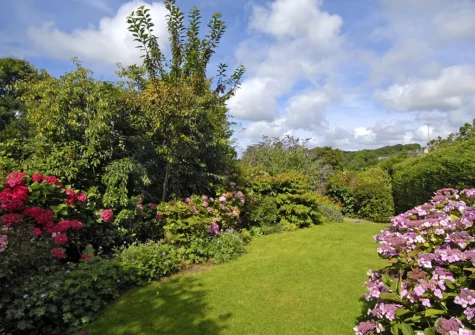 The garden at Carew Cottage, Manobier