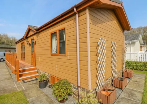 Outside Cladebrine, Heritage Park, Stepaside