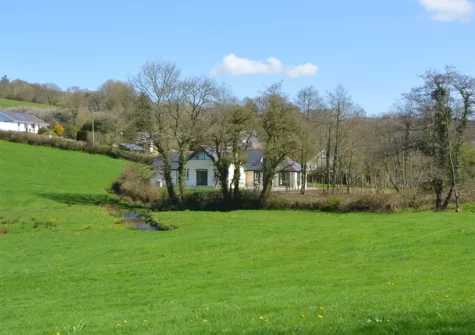 Copses, Narberth Bridge looks out over the river and fields