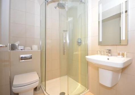 The shower room at Cormorant Apartment, Saundersfoot