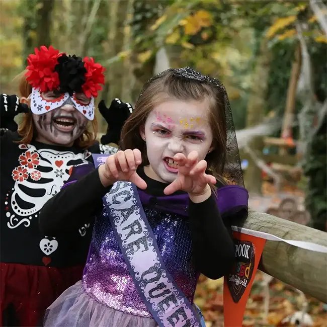 Top 10 things to do in Wales in October - Face your fears