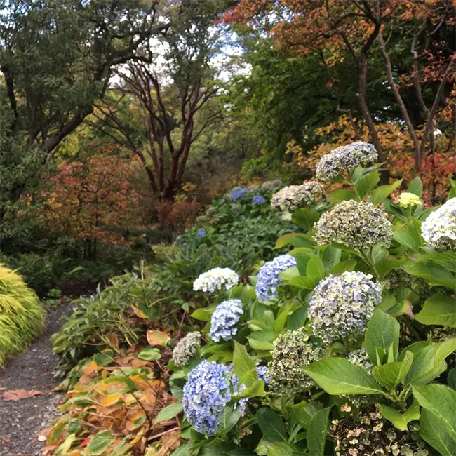 Top 10 things to do in Wales in October - Get in the garden