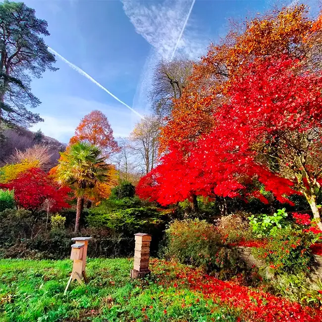 Top 10 things to do in Wales in October - Get in the garden