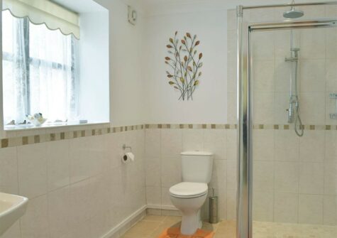 The ground floor shower room at Hayscastle Farmhouse, Hayscastle