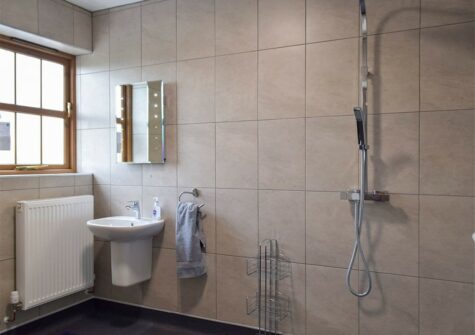 Bedroom #2 en-suite at Llanlliwe Cottage, Henllan Amgoed