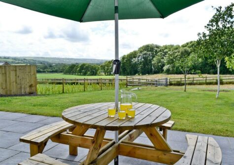 The patio & garden at Llanlliwe Cottage, Henllan Amgoed