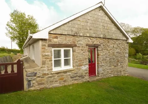The garden at Llety'r Llwynog, Llanfallteg West