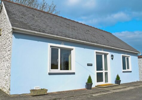 LLwynbedw, St Dogmaels is a romantic hideaway for two with a double bedroom & open-plan living featuring a zesty but tasteful colour scheme. Well located for riverside walks to Poppit Beach & the local pub in the evening. Parking & private garden deck.