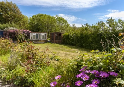 The garden at Meadow Farm, Tenby
