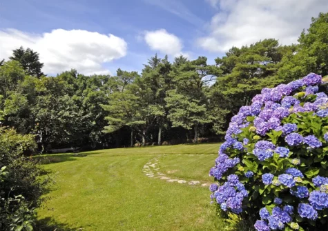 The garden at Monkstone View, Saundersfoot