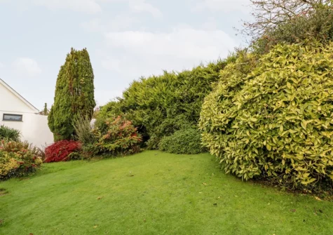 The garden at Pen Y Daith, Stepaside