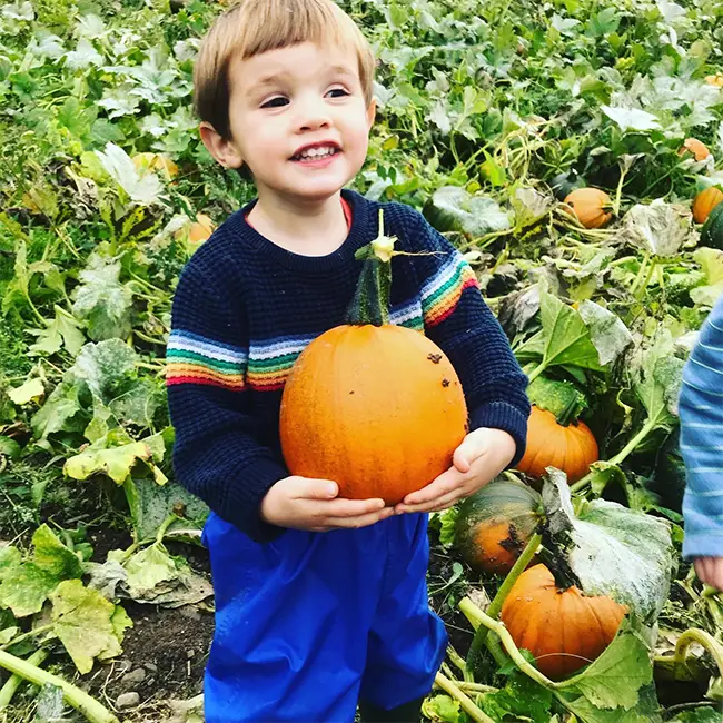 Top 10 things to do in Wales in October - Pick a pumpkin