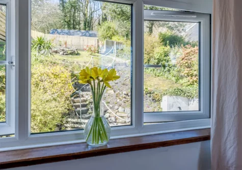 The garden at Pine Tree Cottage, Saundersfoot