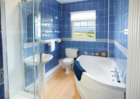 The bathroom at Rhiwelli, Dinas Cross
