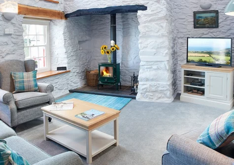 Rhiwelli, Dinas Cross