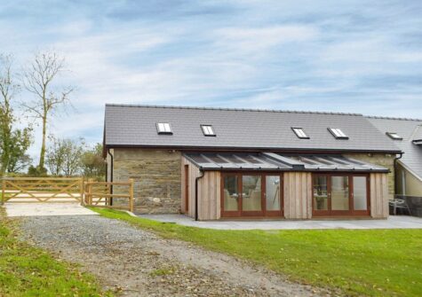 The lawned garden at Snowdrop Cottage, Penfeidr Cottages, Glanrhyd