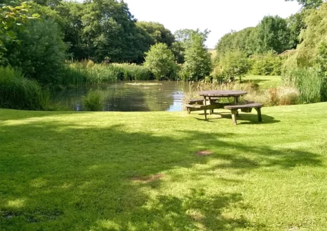 Wander & relax in the grounds surrounding The Barn at Waunlippa, Llan-mill