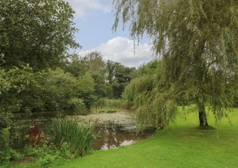 Wander & relax in the grounds surrounding The Barn at Waunlippa, Llan-mill