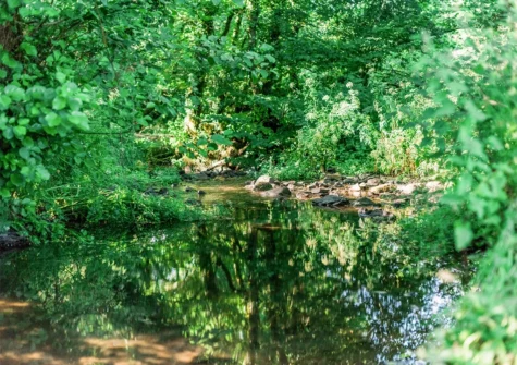 Wander & relax in the grounds surrounding The Barn at Waunlippa, Llan-mill