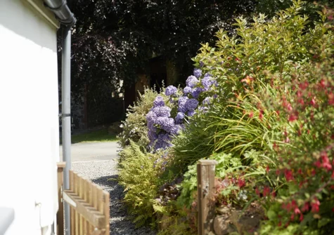 The garden at The Dairy, Dinas