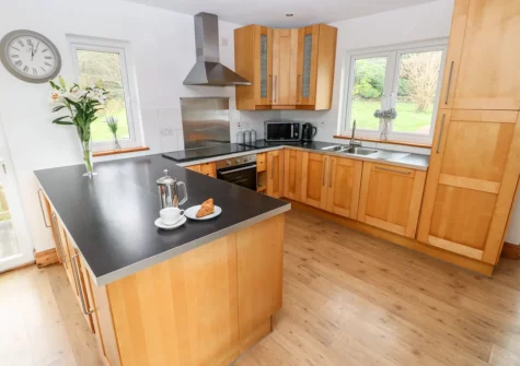 The kitchen at The Dingle, Stepaside