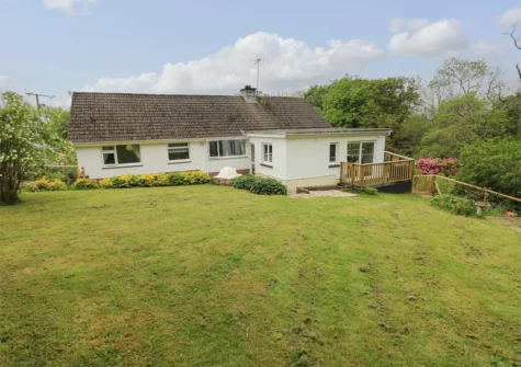 The garden at The Dingle, Stepaside is set within an acre of beautiful gardens