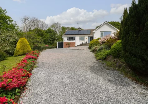 Outside The Dingle, Stepaside