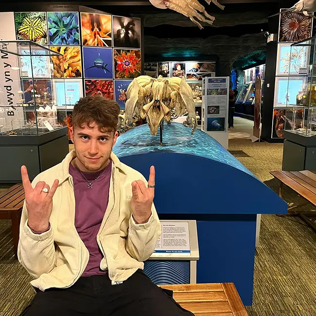 Top 10 things to do in Wales in April - Celebrate Easter