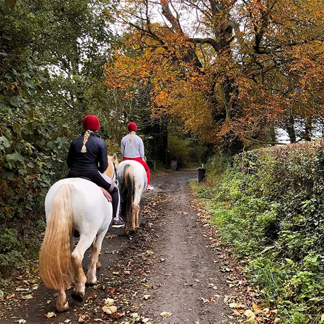 Top 10 things to do in Wales in April - Saddle up