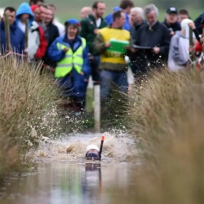 Top 10 things to do in Wales in August - Bog off