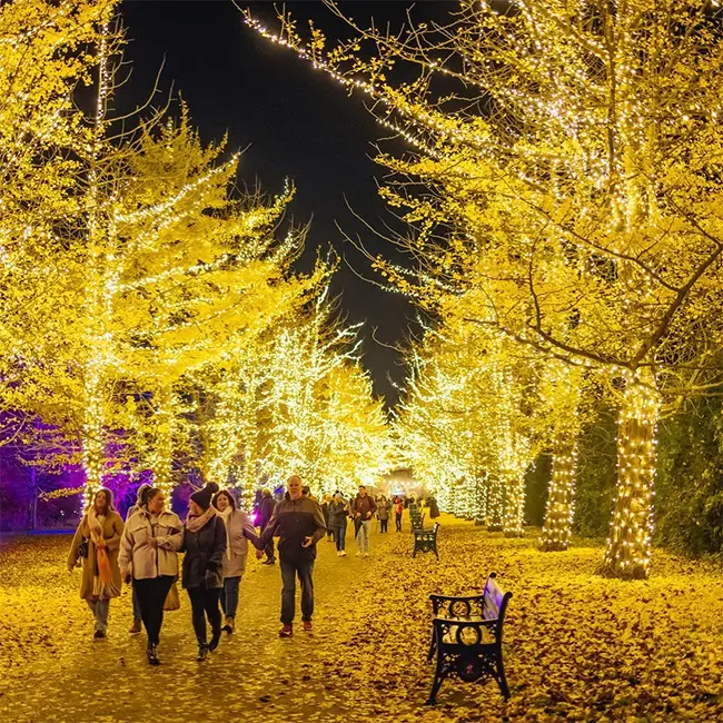 Top 10 things to do in Wales in December - Let in the light