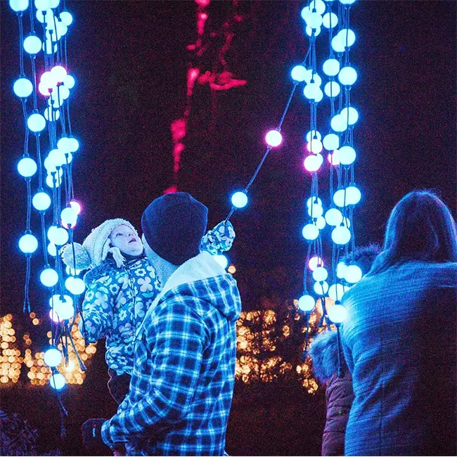 Top 10 things to do in Wales in January - Keep the Christmas spirit alive