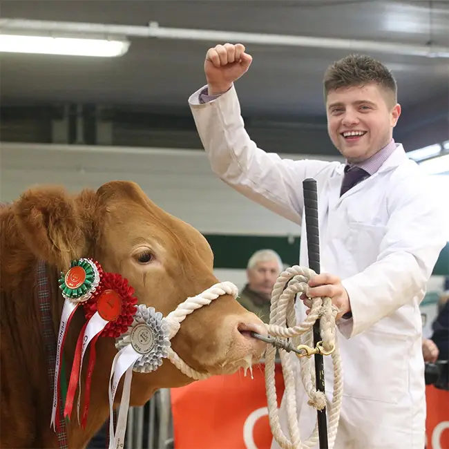 Top 10 things to do in Wales in July - Experience The Royal Welsh Show