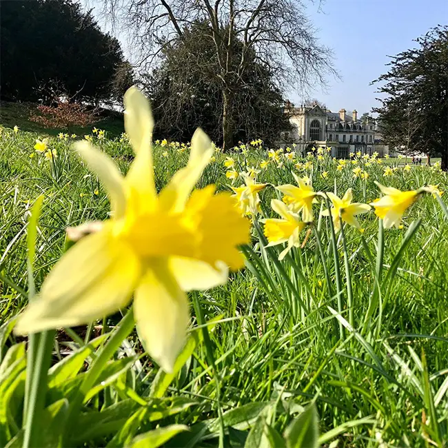 Top 10 things to do in Wales in March - Celebrate spring