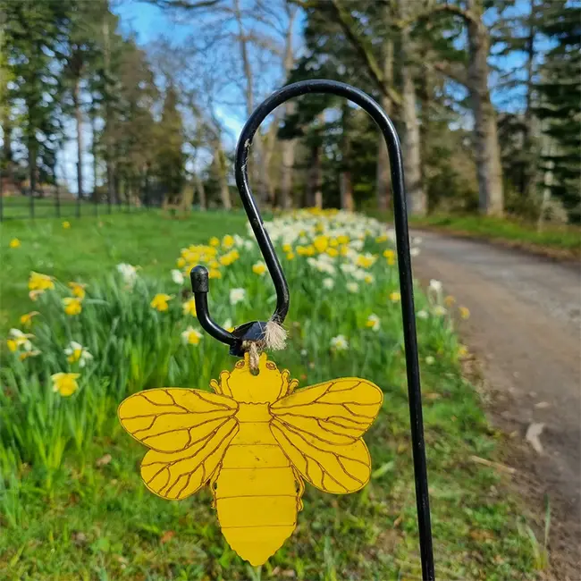 Top 10 things to do in Wales in March - Celebrate spring