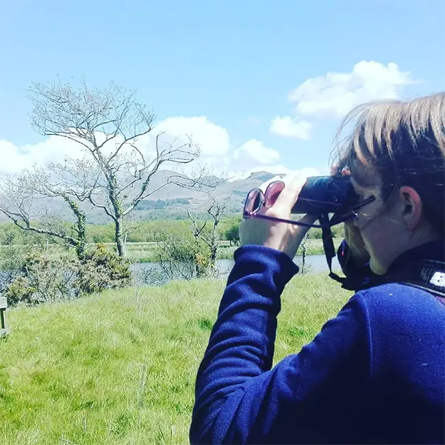 Top 10 things to do in Wales in May - Keep an eye on the sky