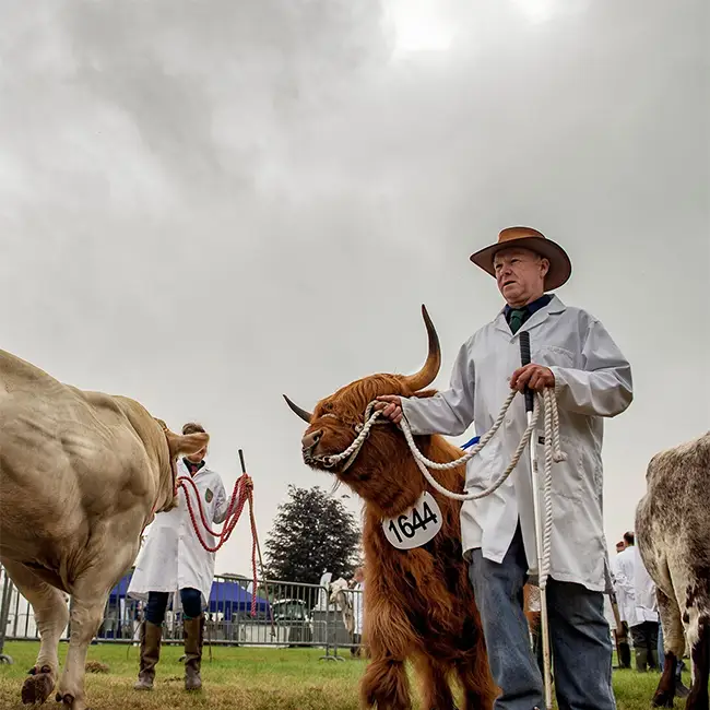Top 10 things to do in Wales in November - Festival fun