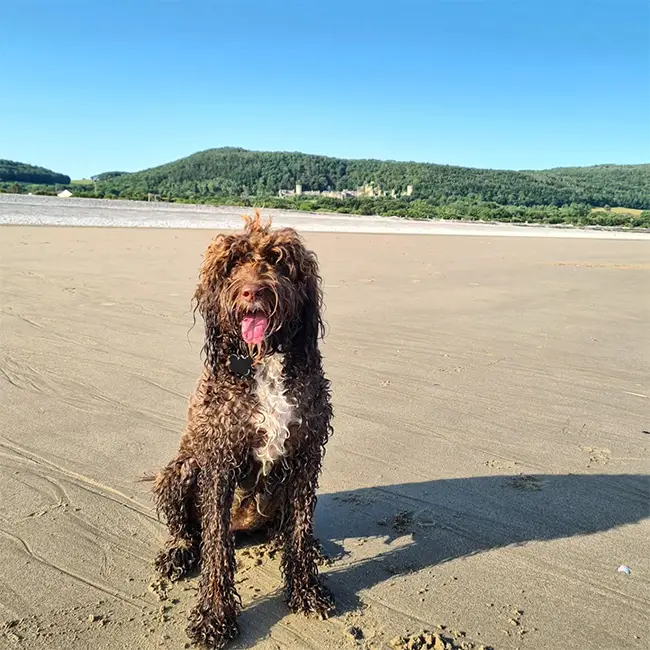 Top 10 things to do in Wales in September - Hit the beach