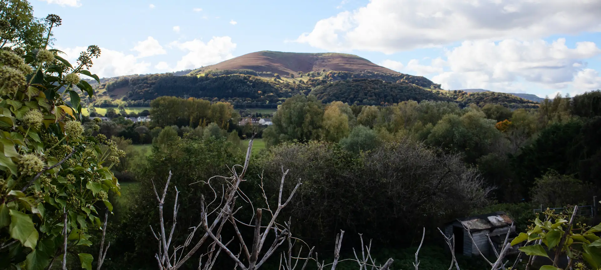 Three mountains surround Abergavenny. Try Skirrid Fawr for a walk through the woods which open out to magnificent views over the surrounding countryside. Park your car in the car park at Blorenge and hike up to the top for views over Abergavenny, a rather strenuous hike, but worth it in the end. To the north of the town is Sugar Loaf which is quite close to the town and gives you a panoramic view over Abergavenny and the Black Mountains.