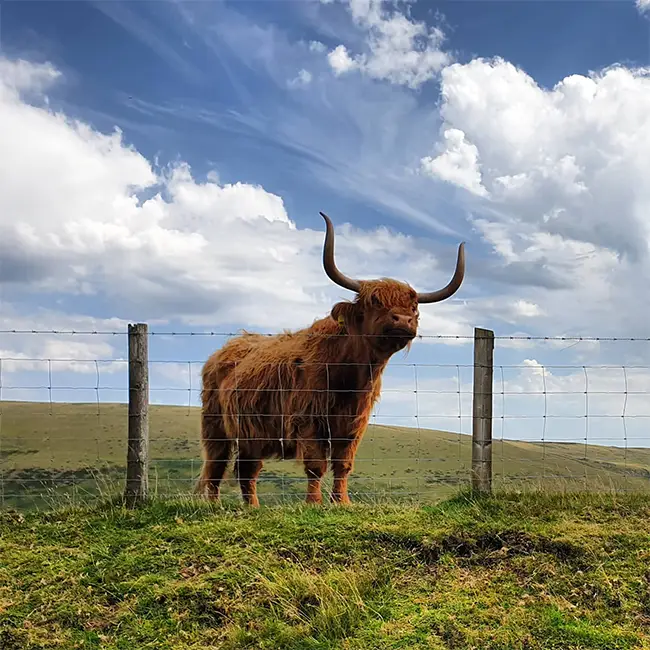 The wow of a holiday in Wales! - Welsh roads really are great for driving on
