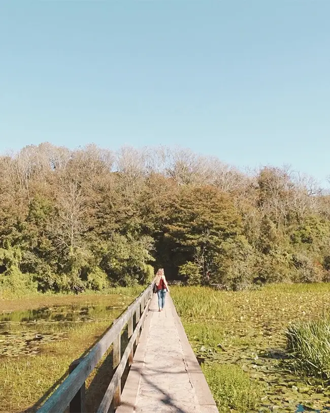 The wow of a holiday in Wales! - Wales by wheel